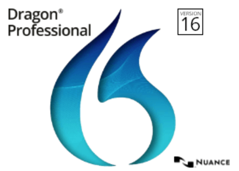 Logo Dragon Professional 16