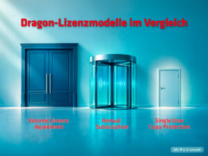 Dragon-Lizenzmodelle im Vergleich - Erklärt von Thax Software